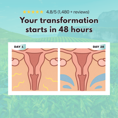 Aida - Menopause Capsules For Vaginal Health
