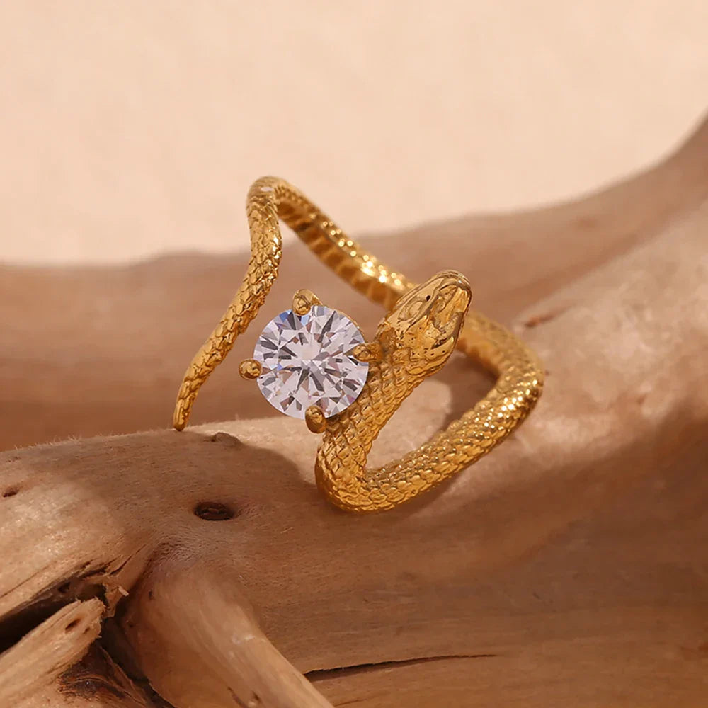 Schlangen-Ohrringe und -Ring